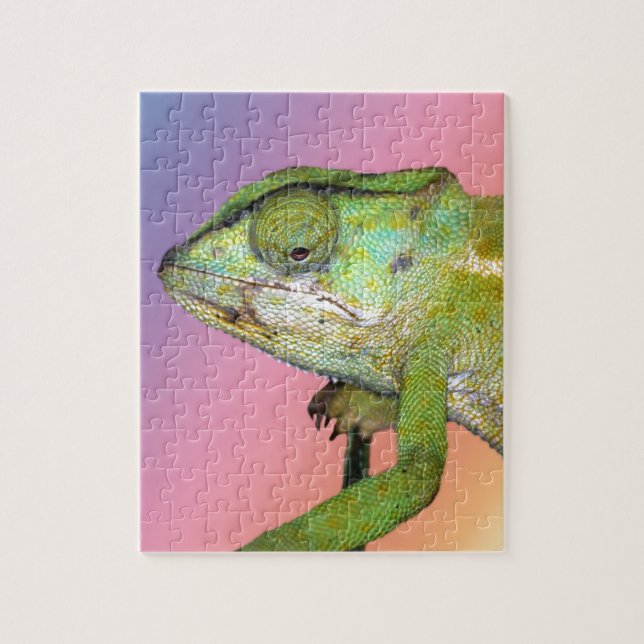 Rainbow chameleon jigsaw puzzle (Vertical)
