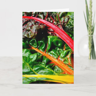 Rainbow Chard Card