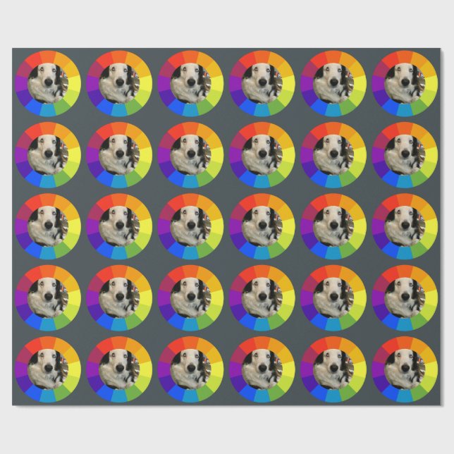 Rainbow Color Wheel Wrapping Paper (Flat)