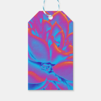 Rainbow colour Succulent plant Gift Tags
