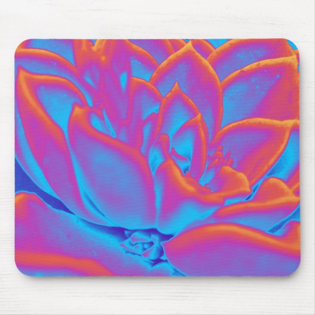 Rainbow colour Succulent plant Mouse Mat (Front)