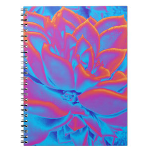 Rainbow colour Succulent plant Notebook