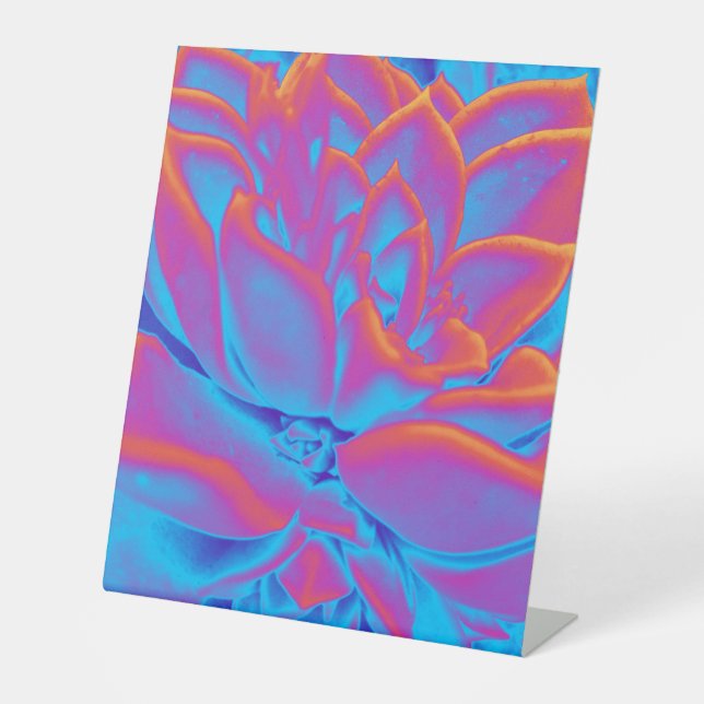 Rainbow colour Succulent plant Pedestal Sign (Front)