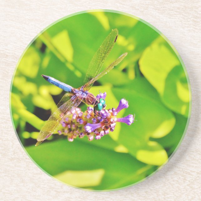 Rainbow coloured Dragonfly  on a purple pink Coaster (Front)