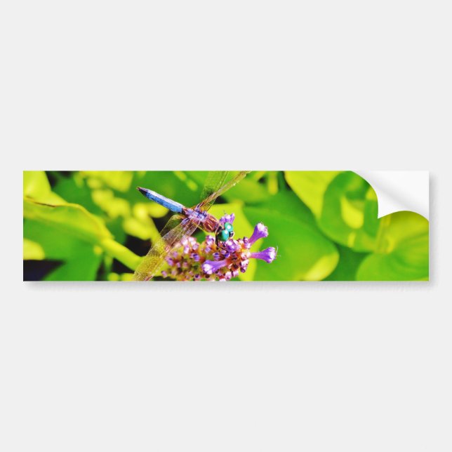 Rainbow coloured Dragonfly  on a purple pink flowe Bumper Sticker (Front)
