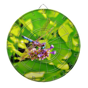 Rainbow coloured Dragonfly  on a purple pink flowe Dartboard