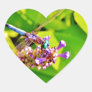 Rainbow coloured Dragonfly  on a purple pink flowe Heart Sticker