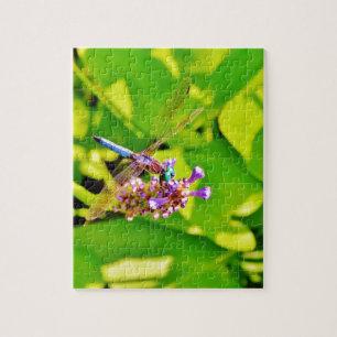 Rainbow coloured Dragonfly on a purple pink flowe Jigsaw Puzzle