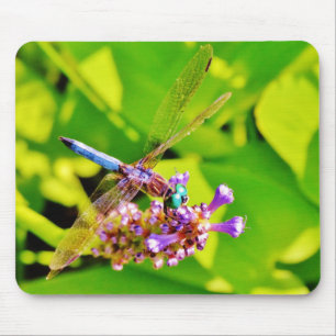 Rainbow coloured Dragonfly on a purple pink flowe Mouse Mat
