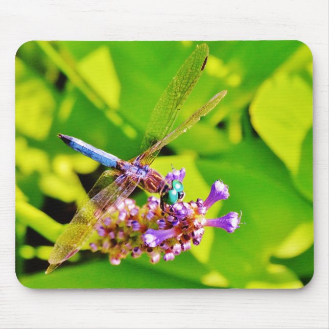 Rainbow coloured Dragonfly  on a purple pink flowe Mouse Mat (Front)