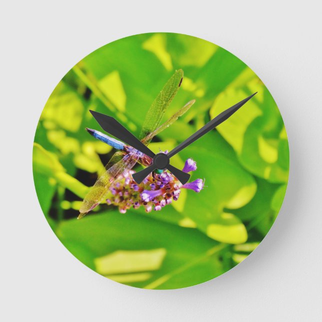 Rainbow coloured Dragonfly  on a purple pink Round Clock (Front)