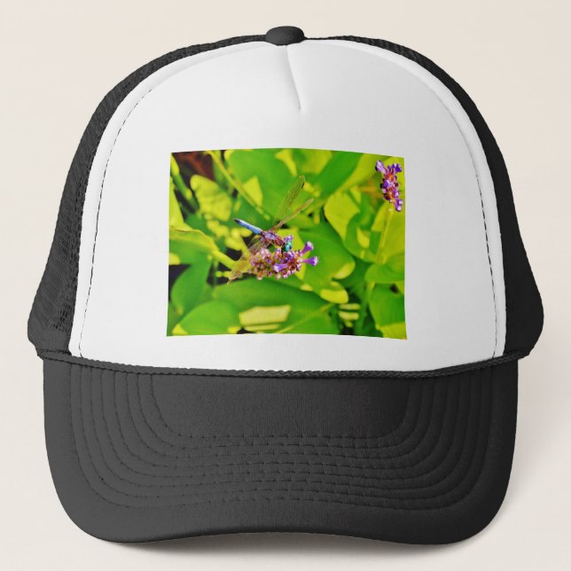 Rainbow coloured Dragonfly  on a purple pink Trucker Hat (Front)