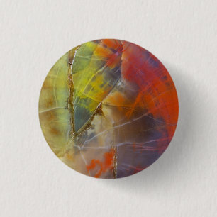 Rainbow Coloured Petrified Wood 3 Cm Round Badge