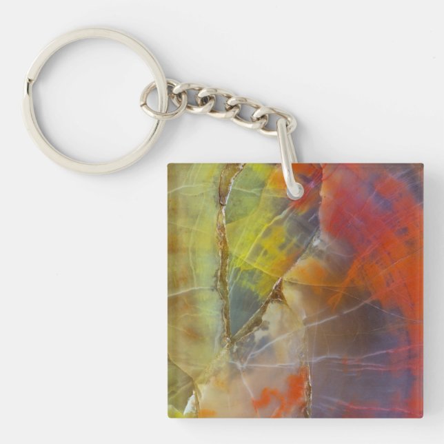 Rainbow Coloured Petrified Wood Key Ring (Front)