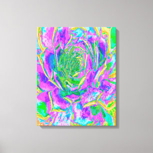 Rainbow Colours Fiesta Succulent Sedum Rosette Canvas Print