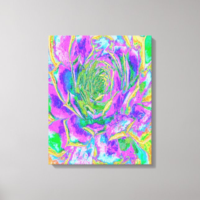 Rainbow Colours Fiesta Succulent Sedum Rosette Canvas Print (Front)