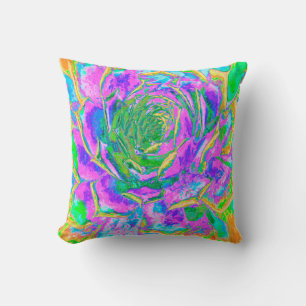 Rainbow Colours Fiesta Succulent Sedum Rosette Cushion