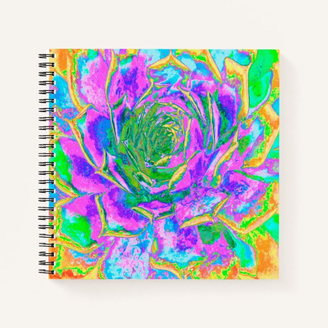 Rainbow Colours Fiesta Succulent Sedum Rosette Notebook (Front)