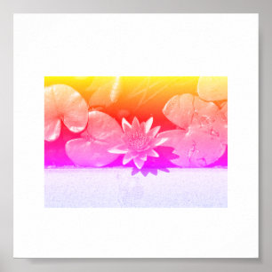 Rainbow Colours Water Lily Flower Plants Poster