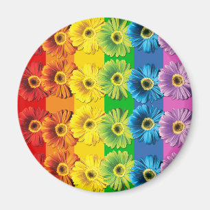 Rainbow Daisies Magnet