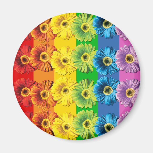 Rainbow Daisies Magnet (Front)