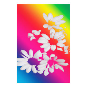Rainbow daisies photo print