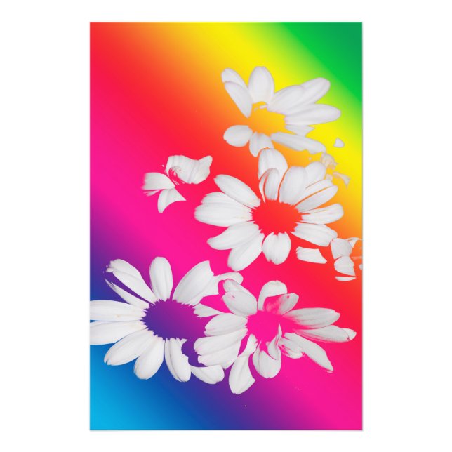 Rainbow daisies photo print (Front)