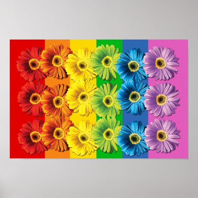 Rainbow Daisies Poster (Front)