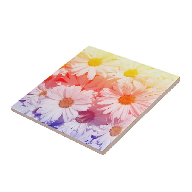 Rainbow Daisies Tile (Side)