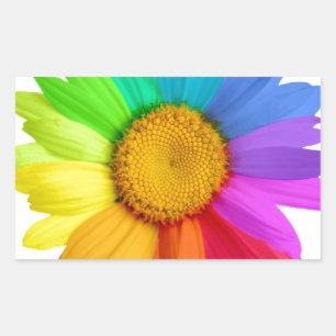 Rainbow Daisy Rectangular Sticker