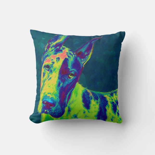 rainbow dane cushion (Front)