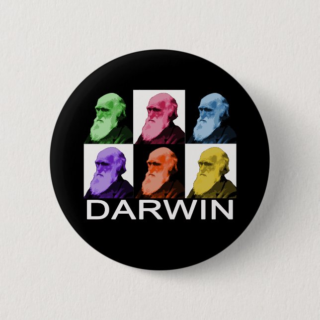 Rainbow Darwin button (Front)