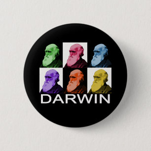 Rainbow Darwin button