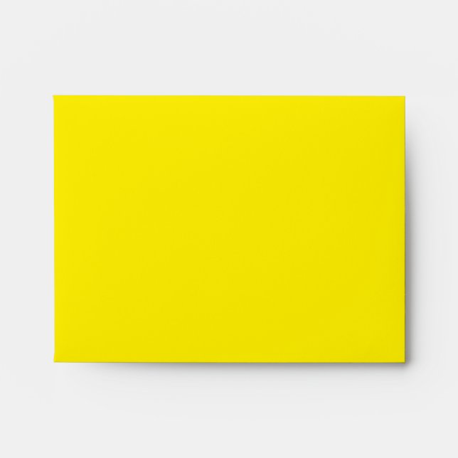 Rainbow Diversity Envelope (Front)