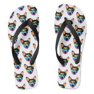Rainbow Dog, flip flops