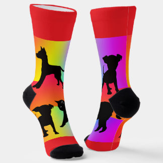 Rainbow Dogs And Cats  Socks
