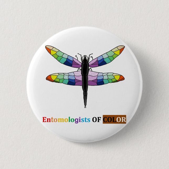 Rainbow Dragonfly 6 Cm Round Badge (Front)