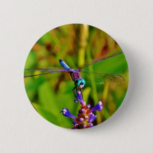 Rainbow Dragonfly and flower 6 Cm Round Badge