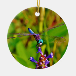 Rainbow Dragonfly and flower Ceramic Tree Decoration