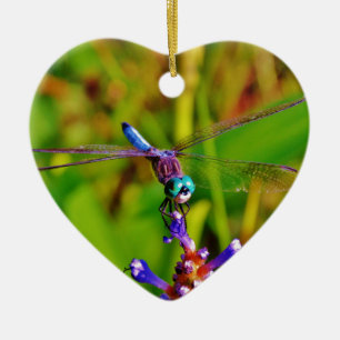 Rainbow Dragonfly and flower Ceramic Tree Decoration