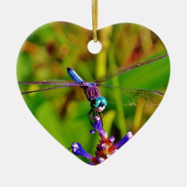 Rainbow Dragonfly and flower Ceramic Tree Decoration (Front)