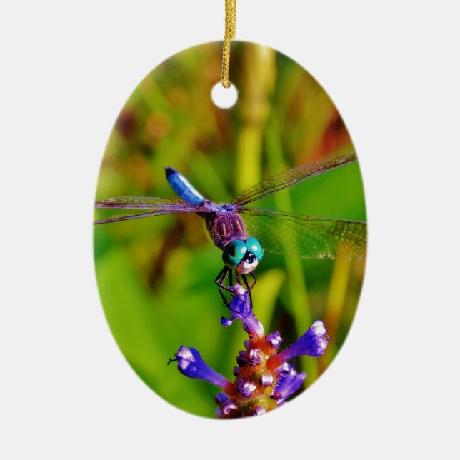 Rainbow Dragonfly and flower Ceramic Tree Decoration (Front)
