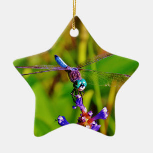 Rainbow Dragonfly and flower Ceramic Tree Decoration