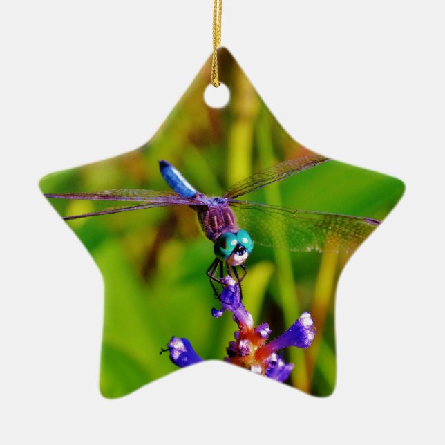 Rainbow Dragonfly and flower Ceramic Tree Decoration (Front)