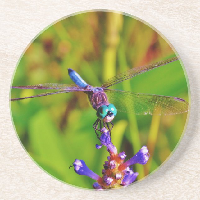 Rainbow Dragonfly and flower Coaster (Front)