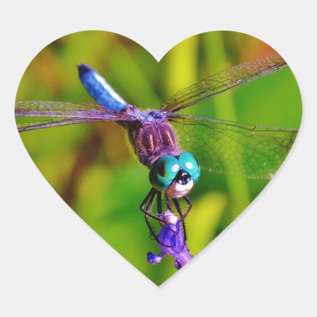 Rainbow Dragonfly and flower Heart Sticker (Front)