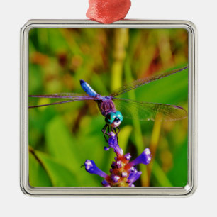 Rainbow Dragonfly and flower Metal Tree Decoration