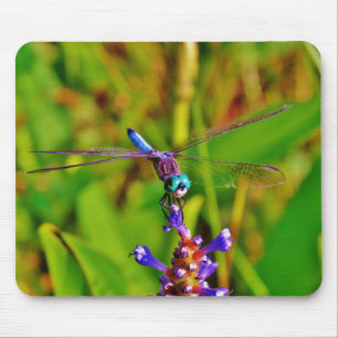 Rainbow Dragonfly and flower Mouse Mat