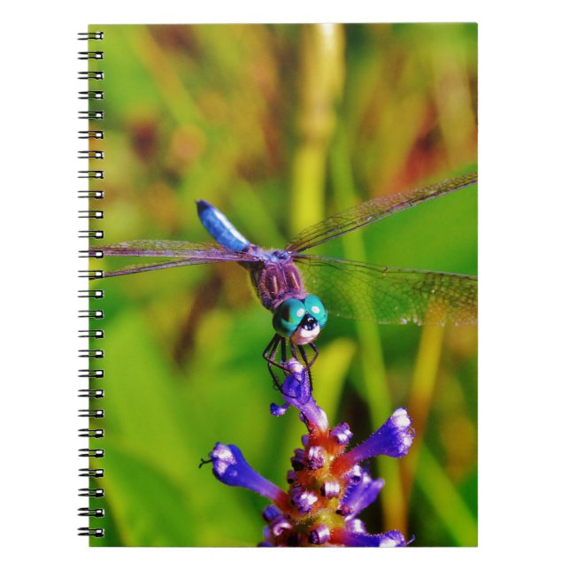 Rainbow Dragonfly and flower Notebook (Front)