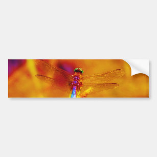 Rainbow Dragonfly on amber and fuschia Bumper Sticker